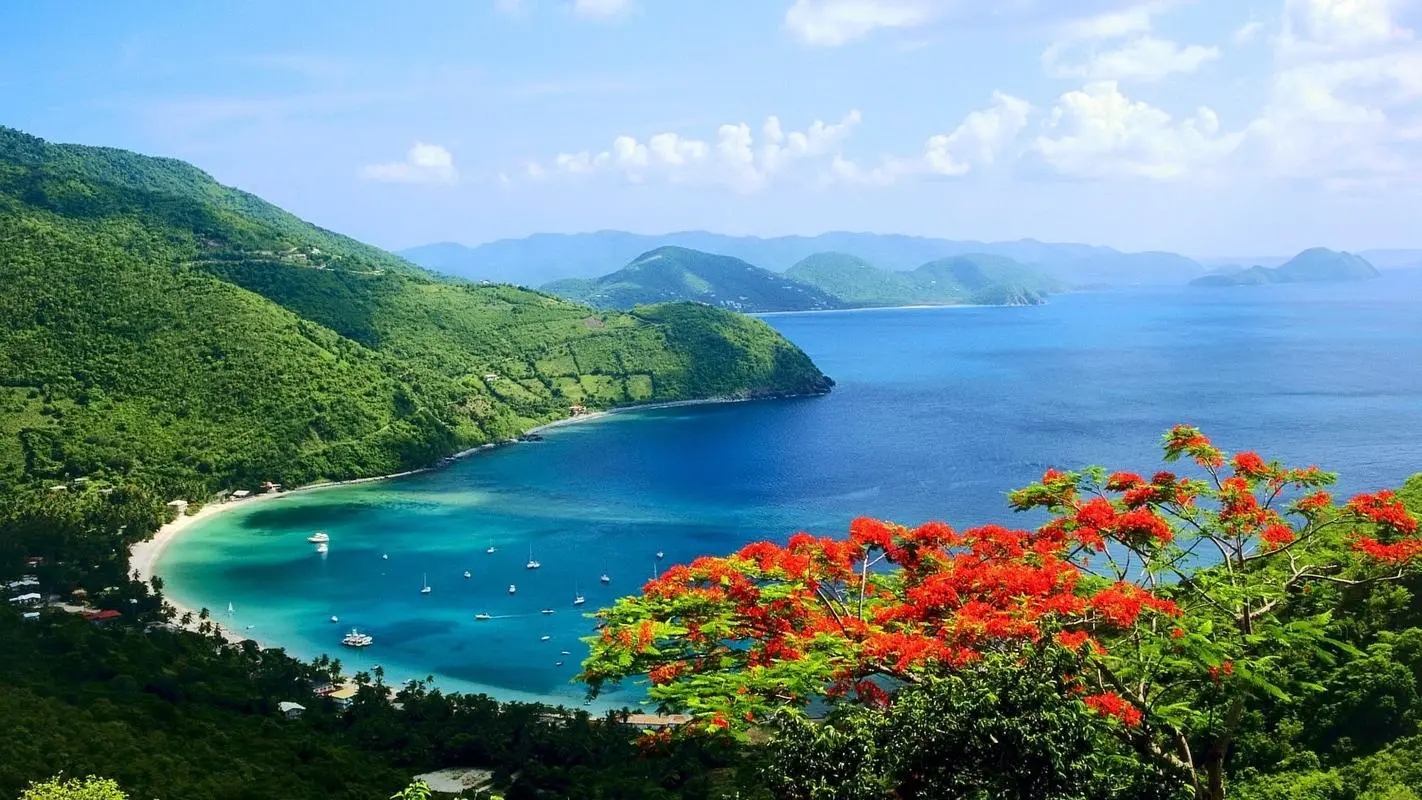稳定性可靠性智能